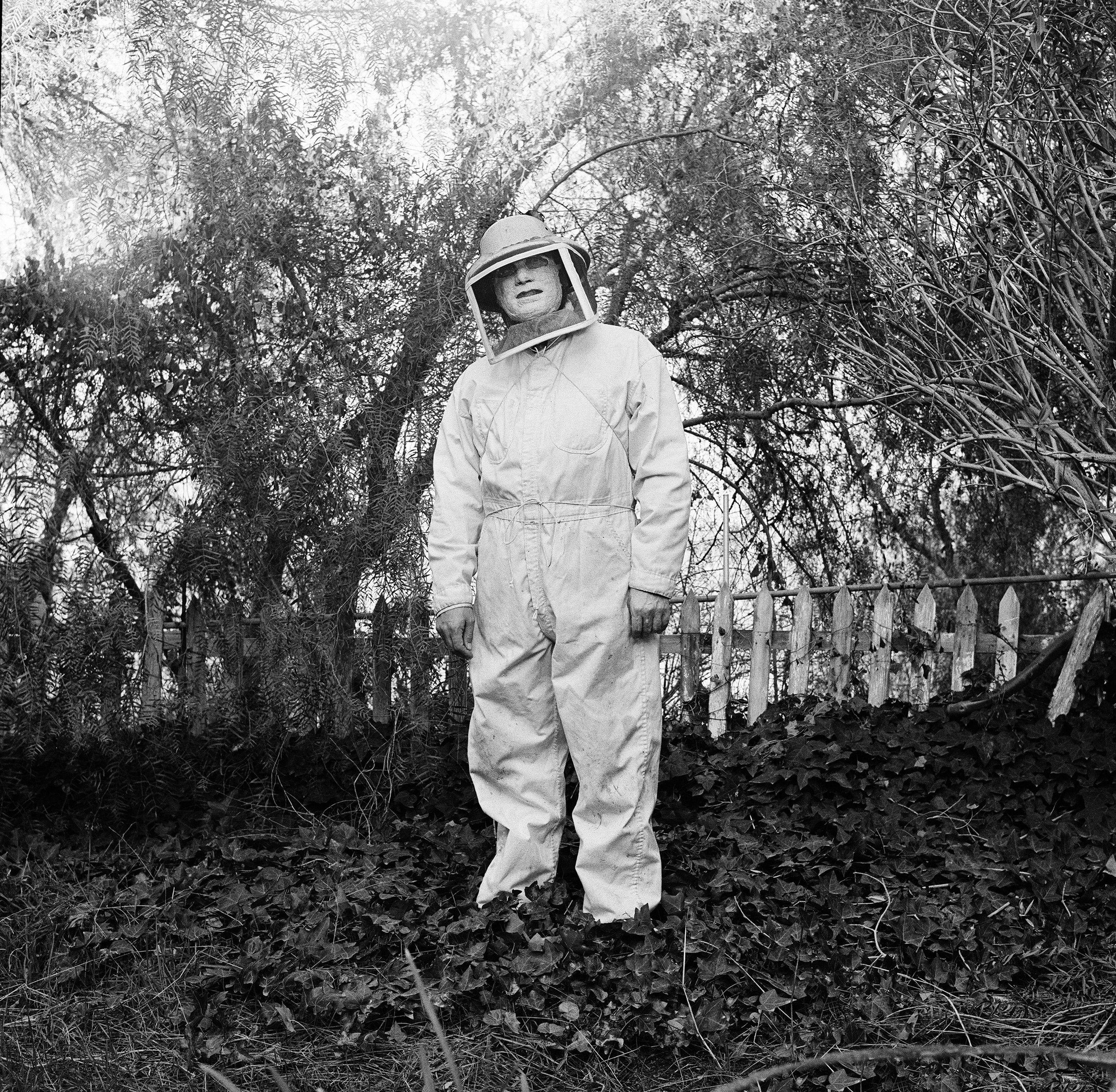 Beekeeper, 1977, Woodland Hills, California