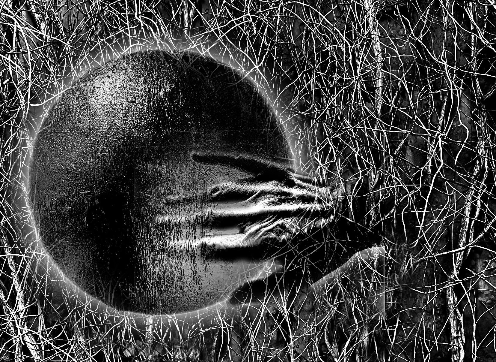 Hand and Moon in Forest