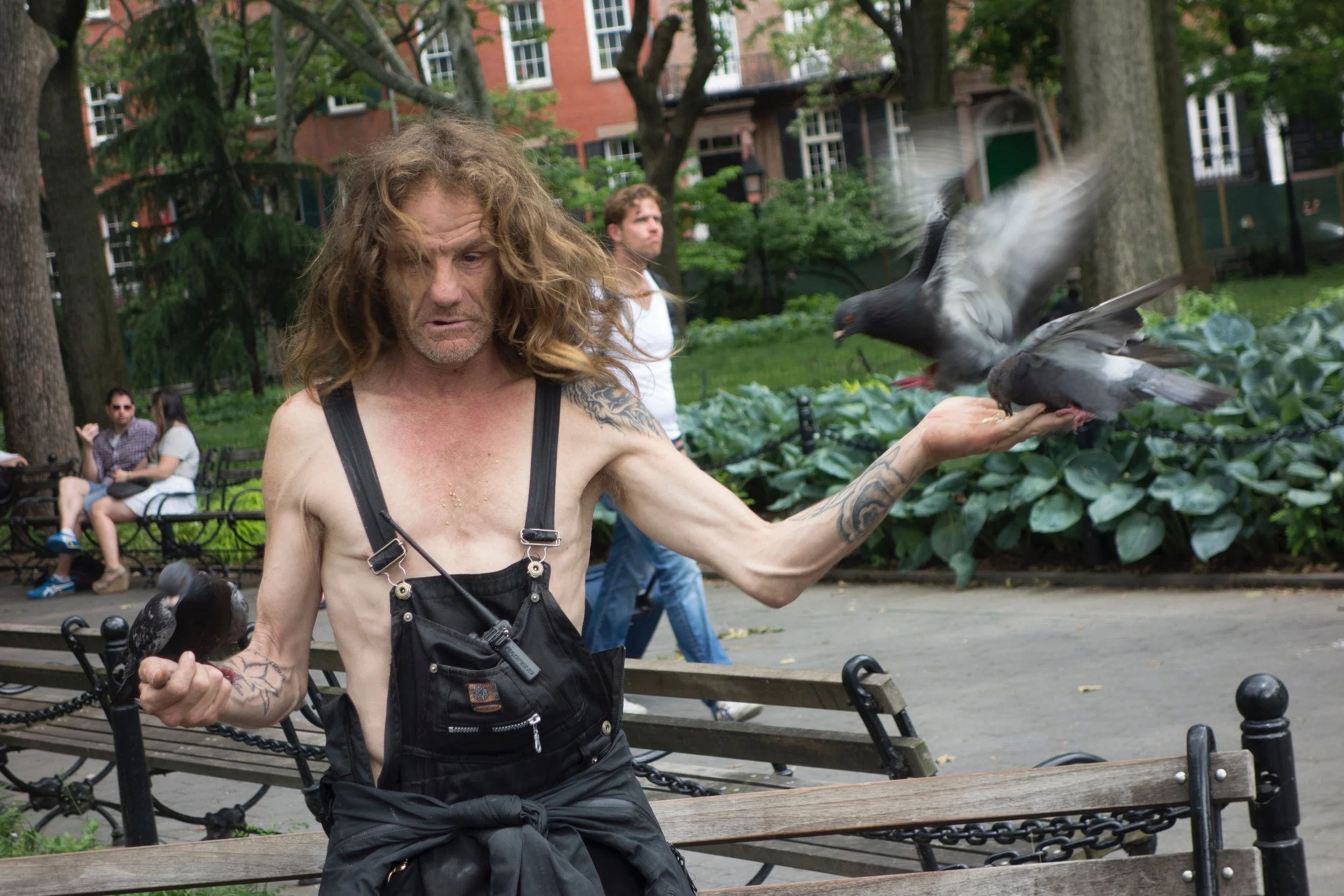 Birdman, Washington Square Park, New York City