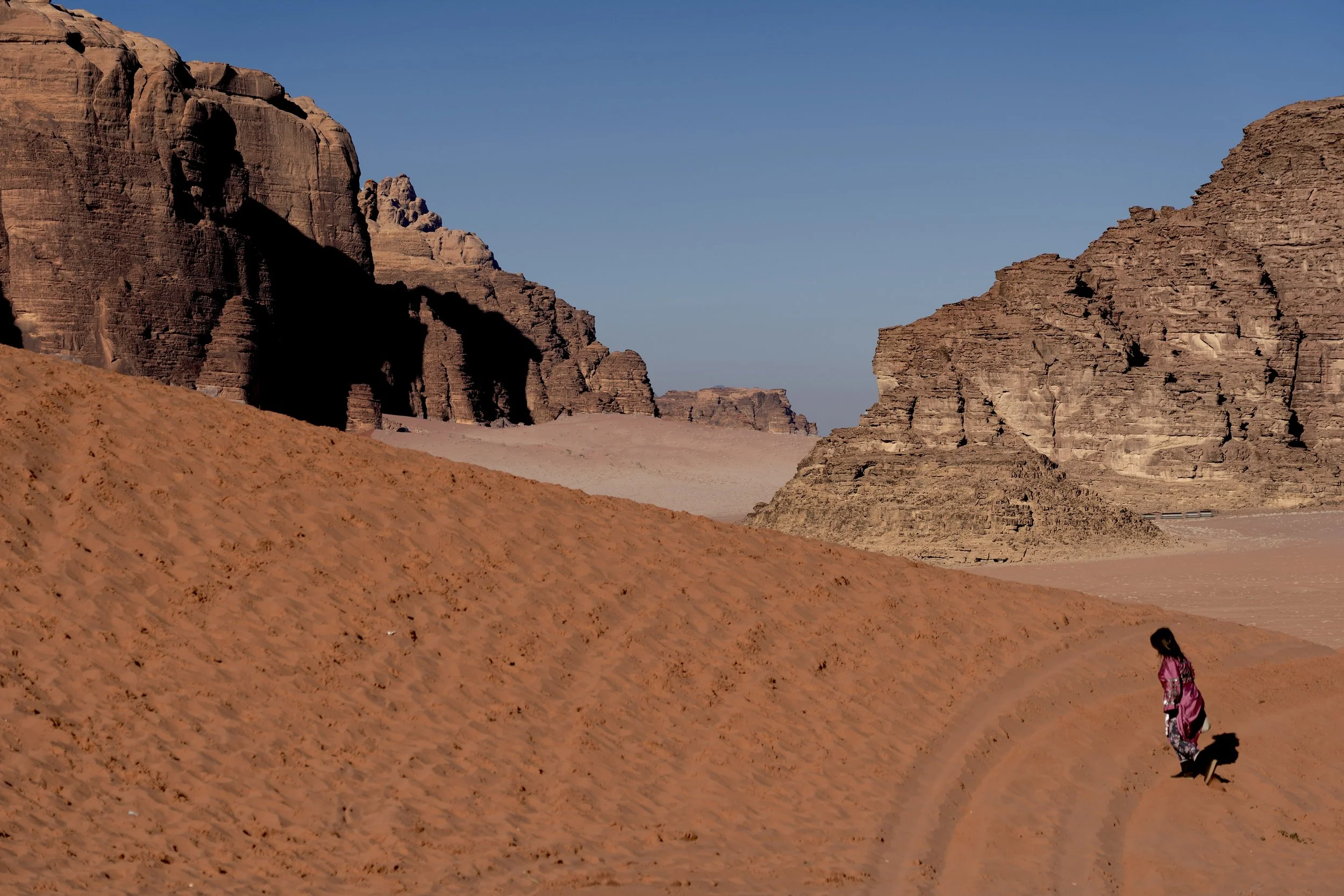 Silent traveler, Wadi Rum, Jordan, 2018