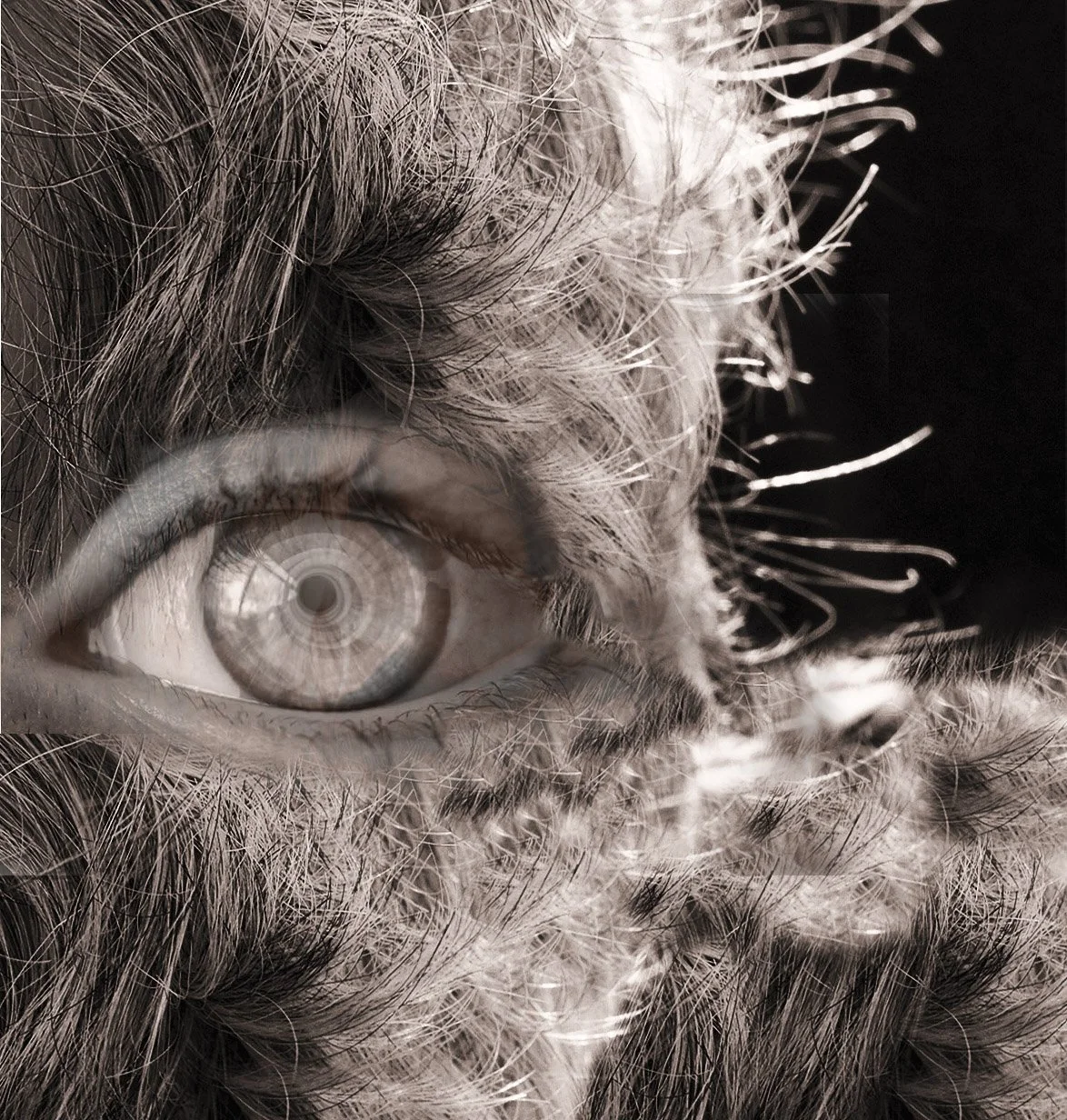 Seeing through the Hair
