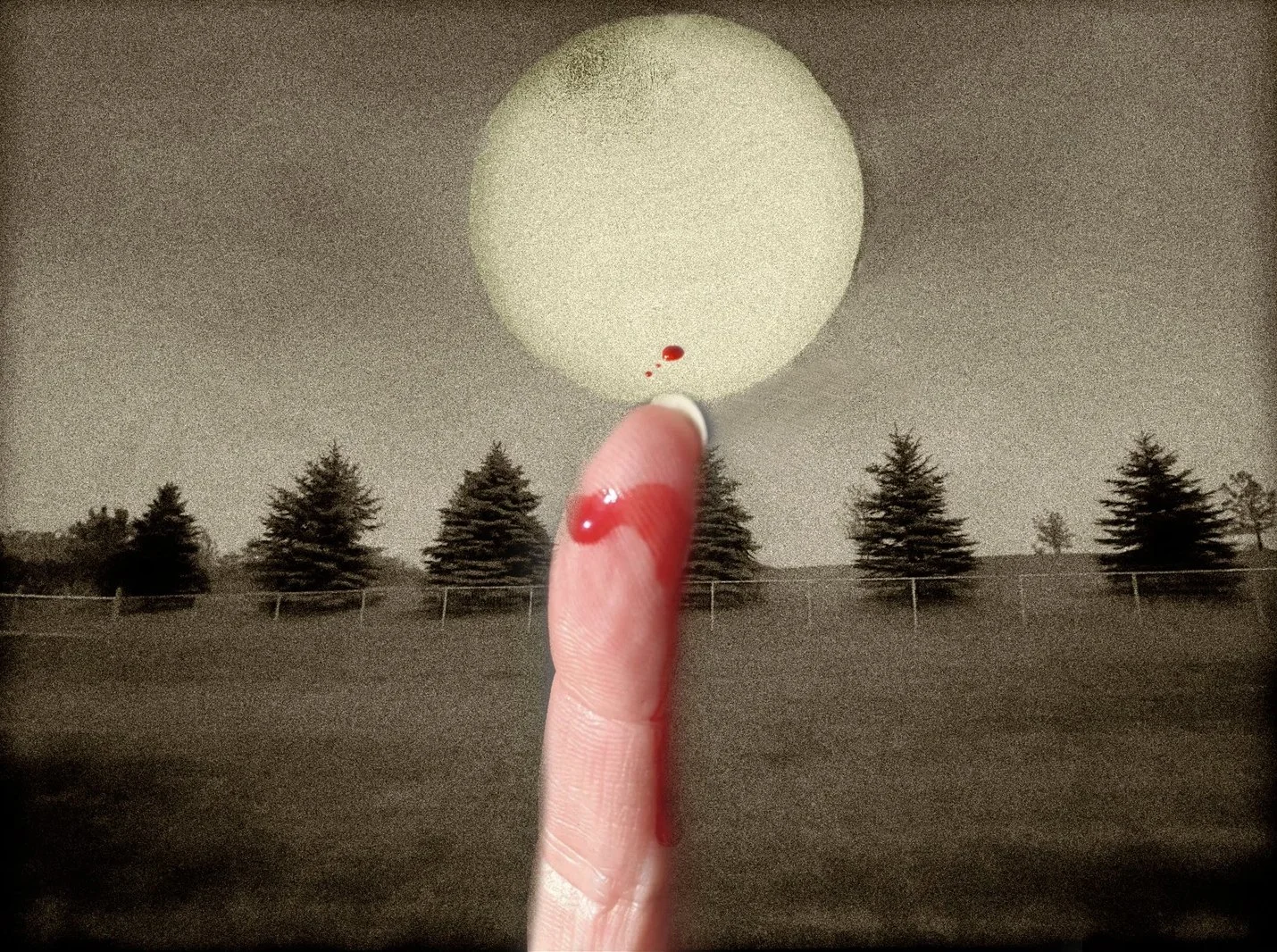 Blood on the Moon