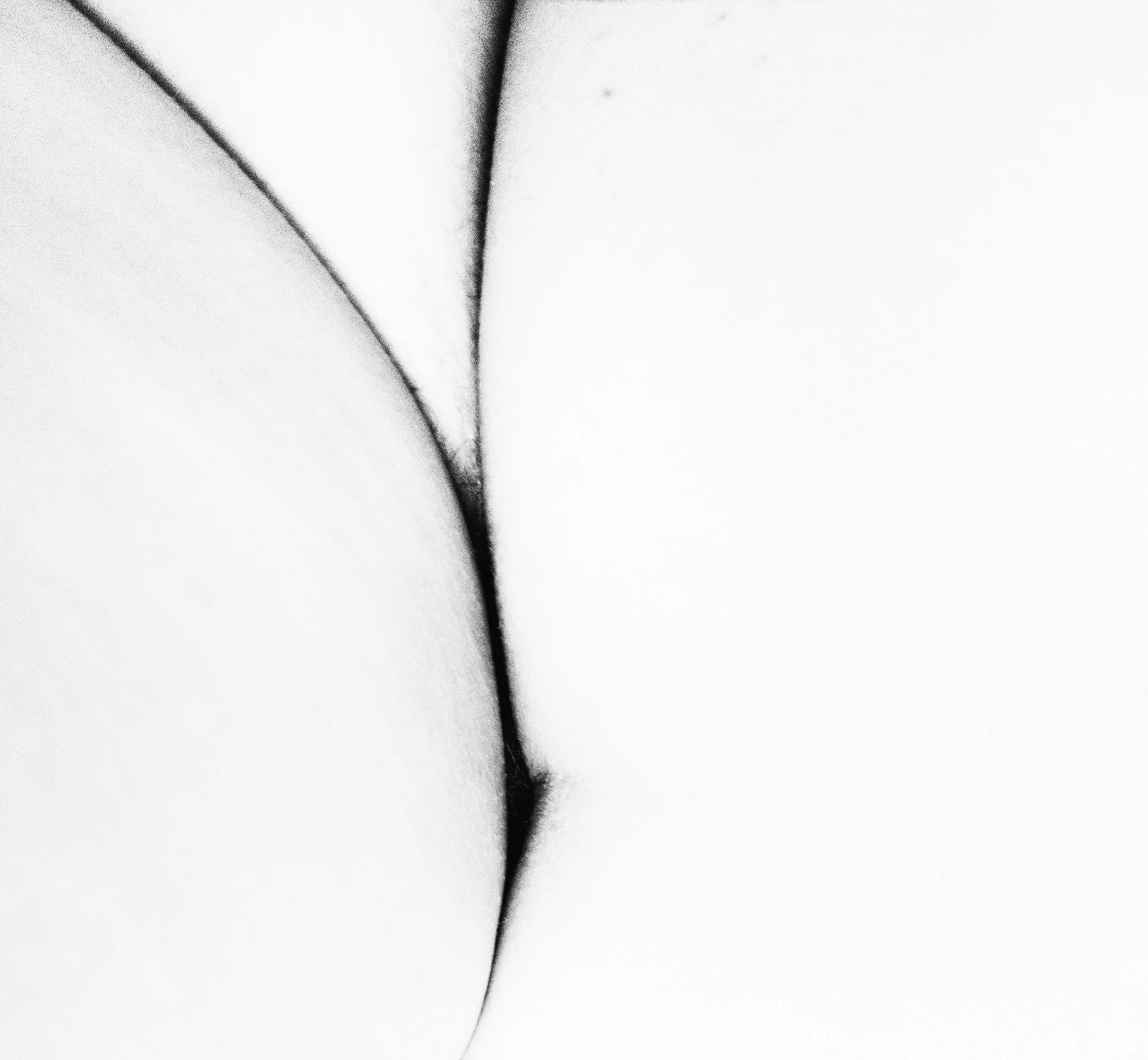 Curves