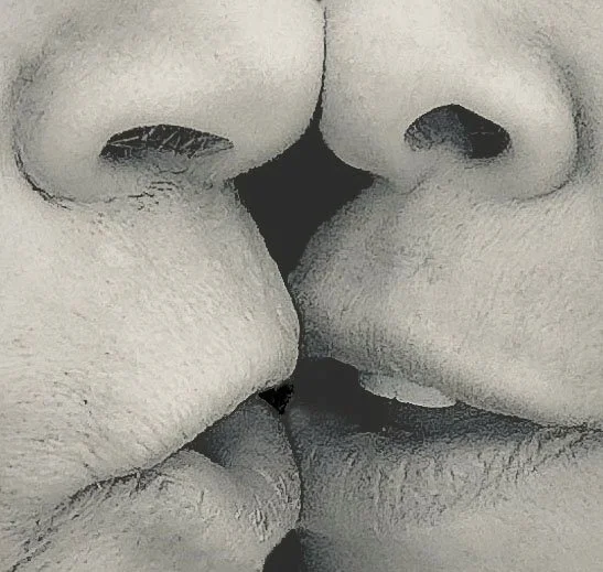 Kiss
