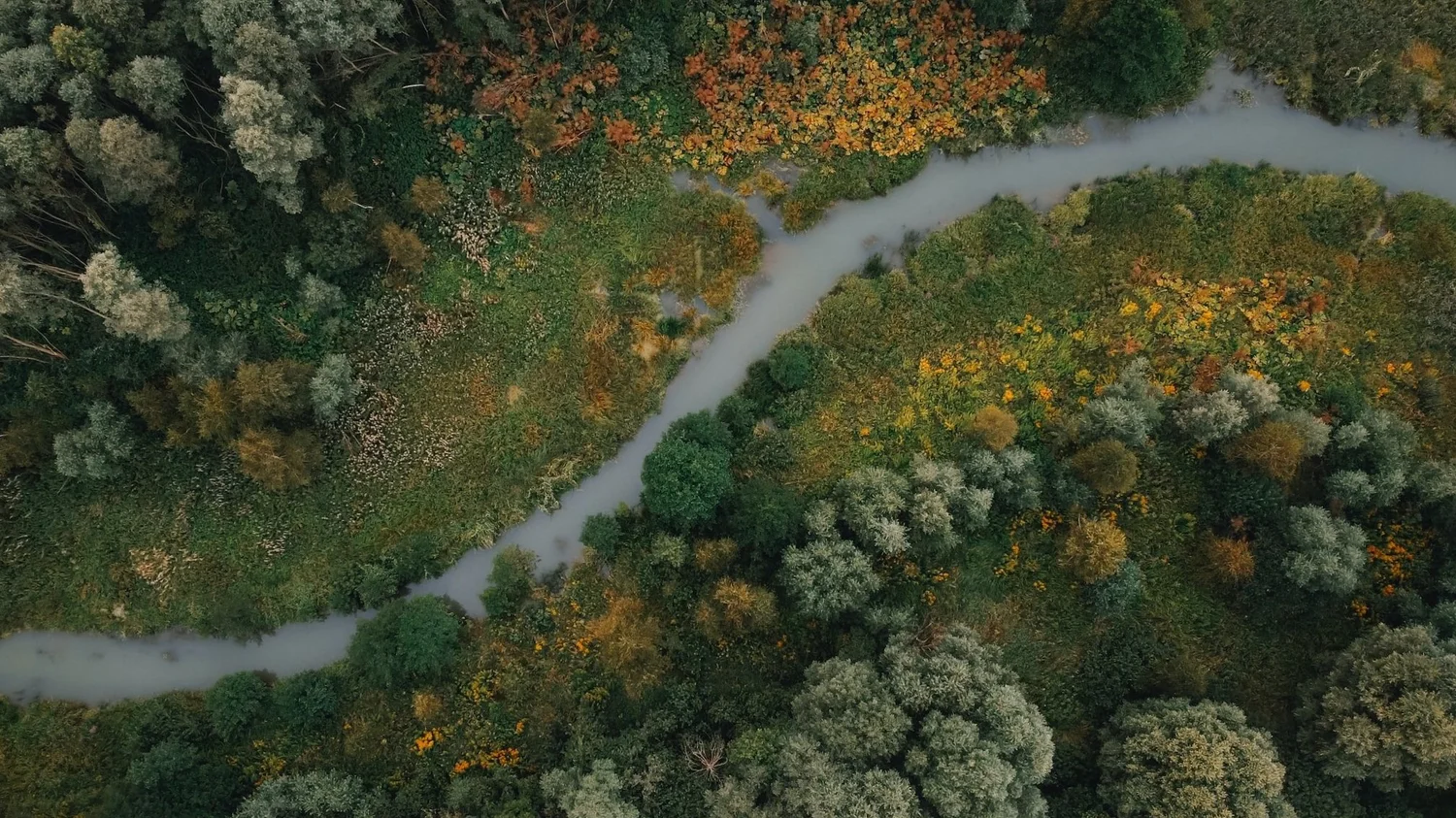 Aerial view of a winding river through green and golden meadows