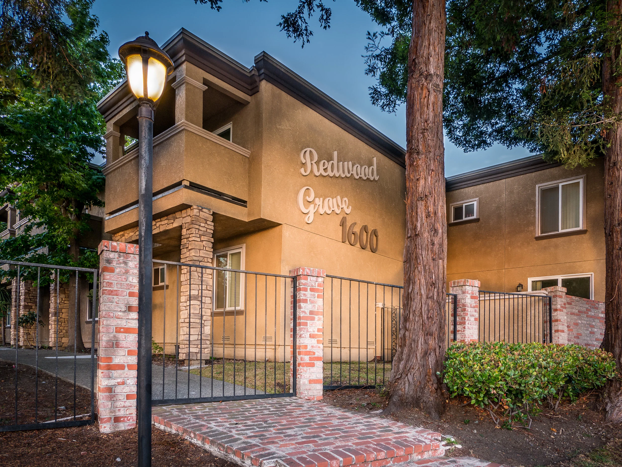 Redwood.jpg