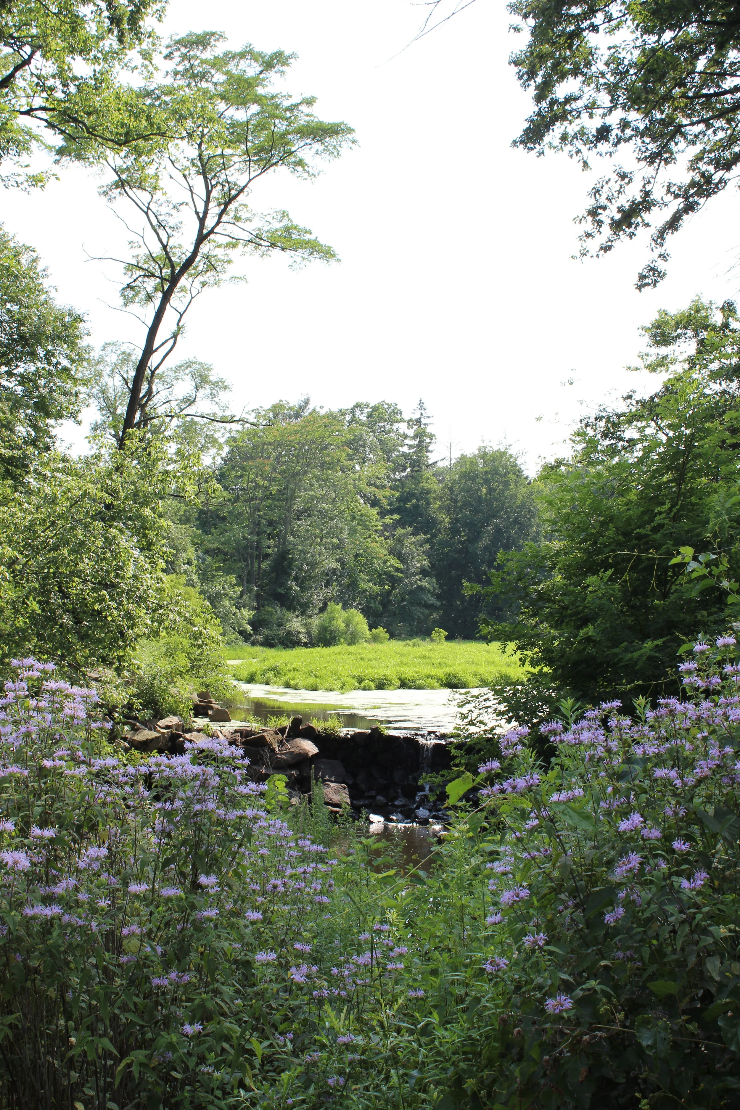 Wild and Wandering at New Jersey's Duke Farms
