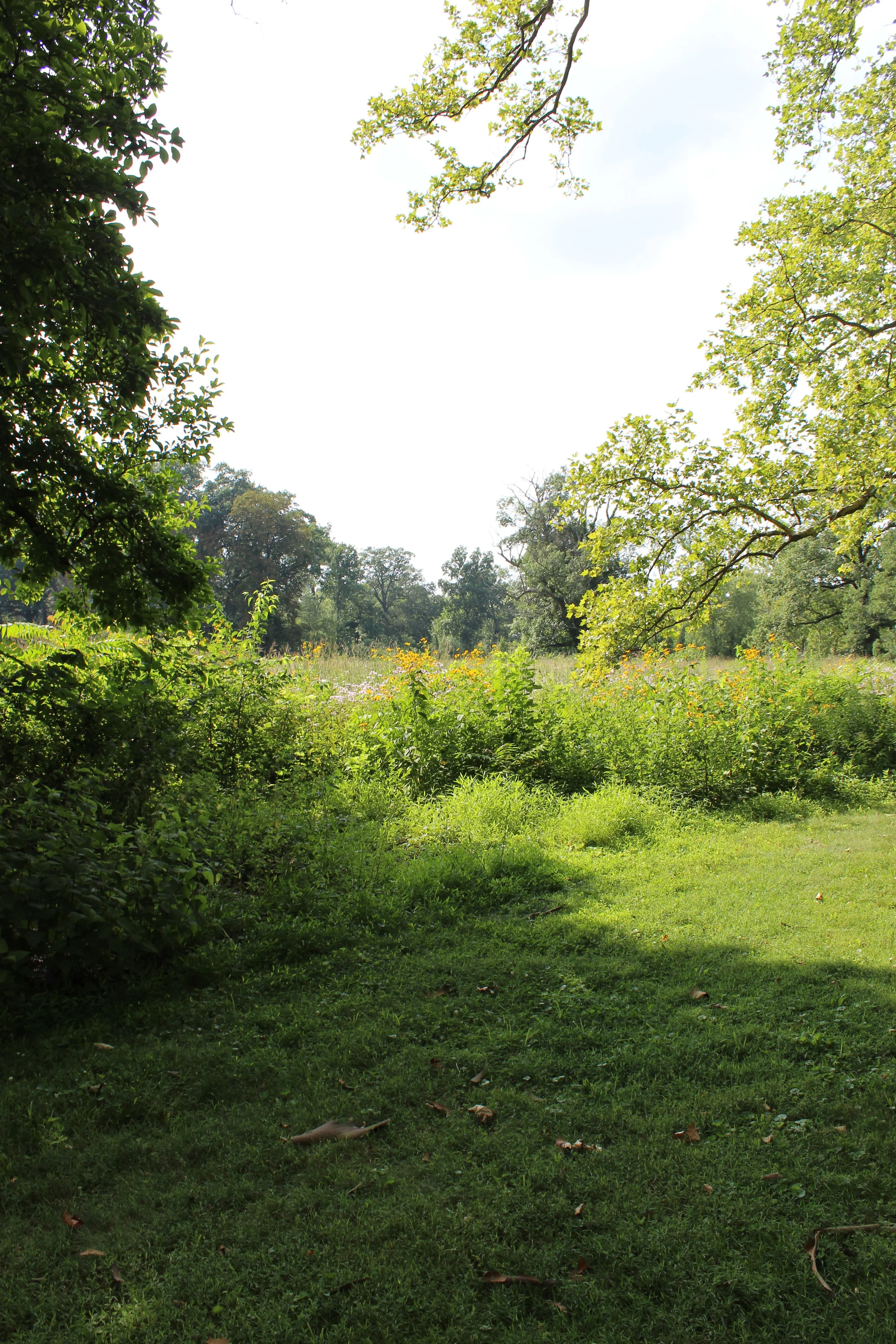 Wild and Wandering at New Jersey's Duke Farms