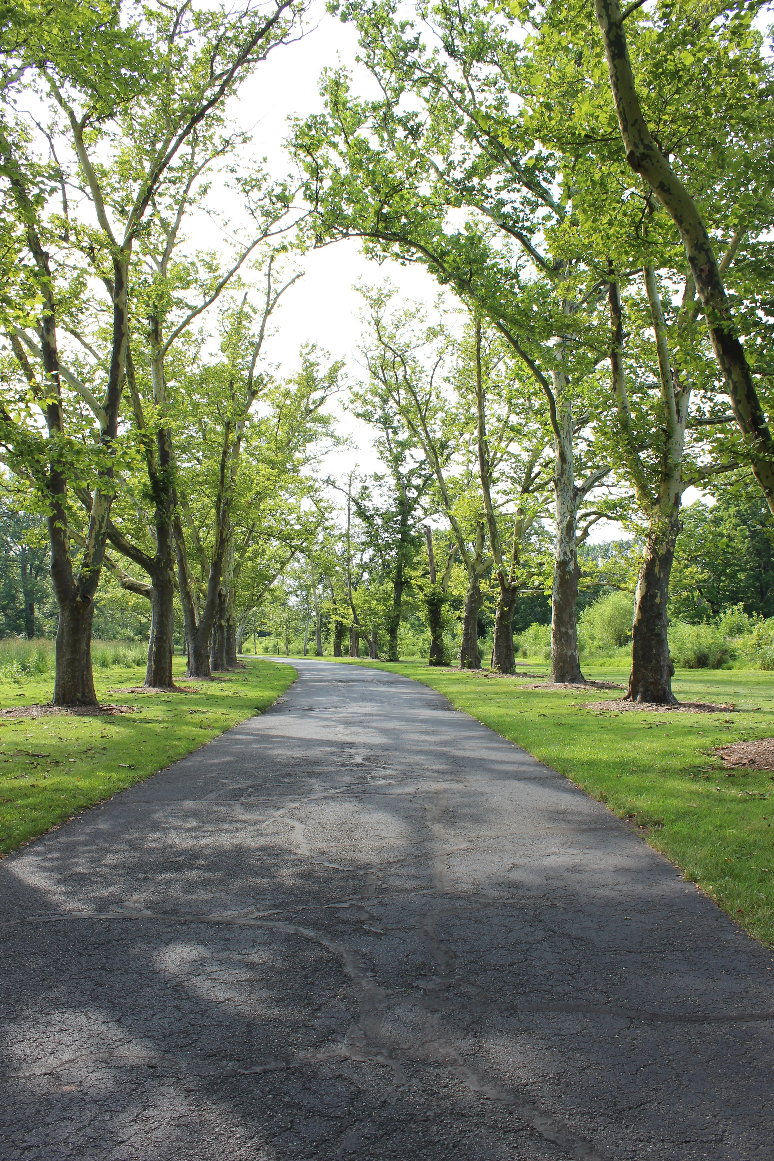 Wild and Wandering at New Jersey's Duke Farms