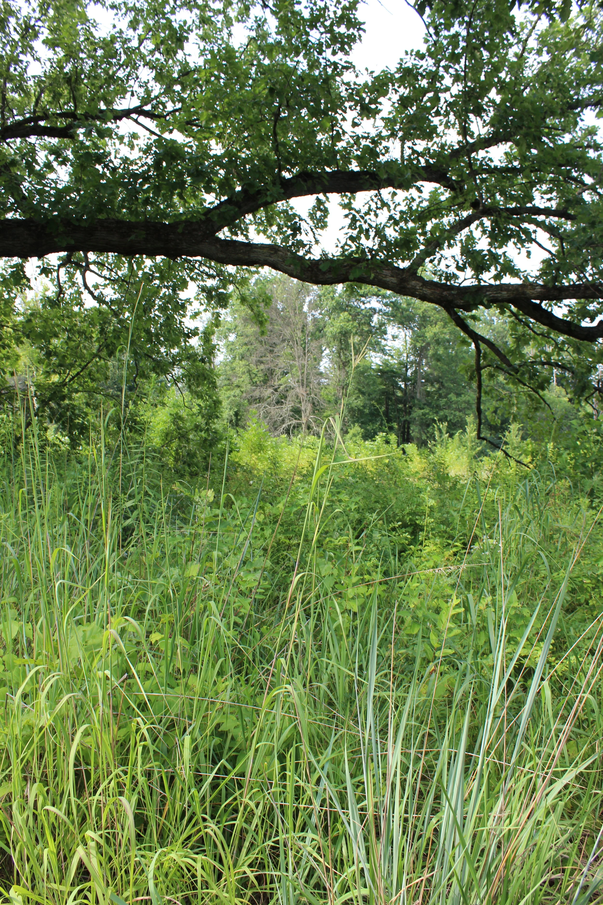 Wild and Wandering at New Jersey's Duke Farms