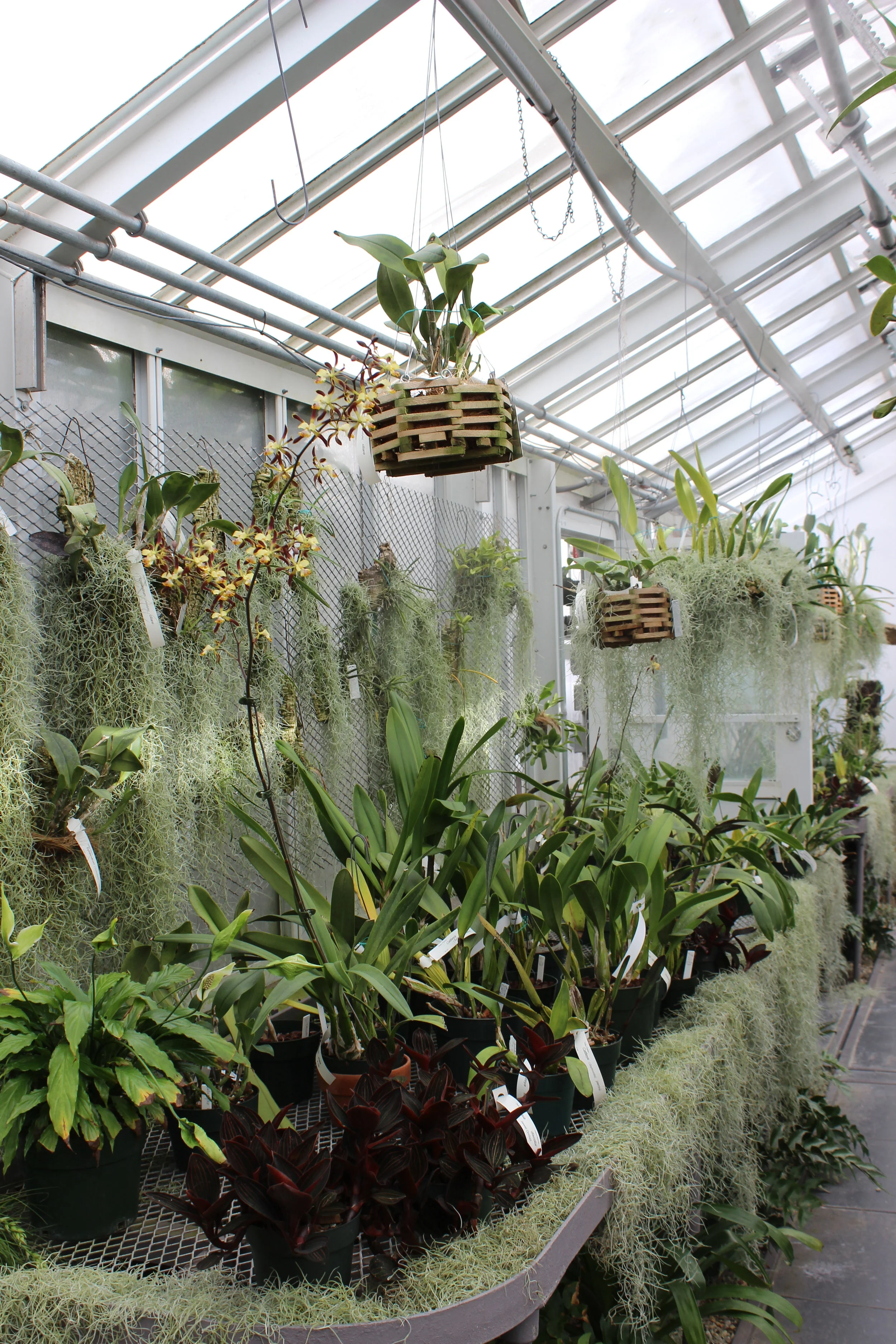 Wild and Wandering at New Jersey's Duke Farms