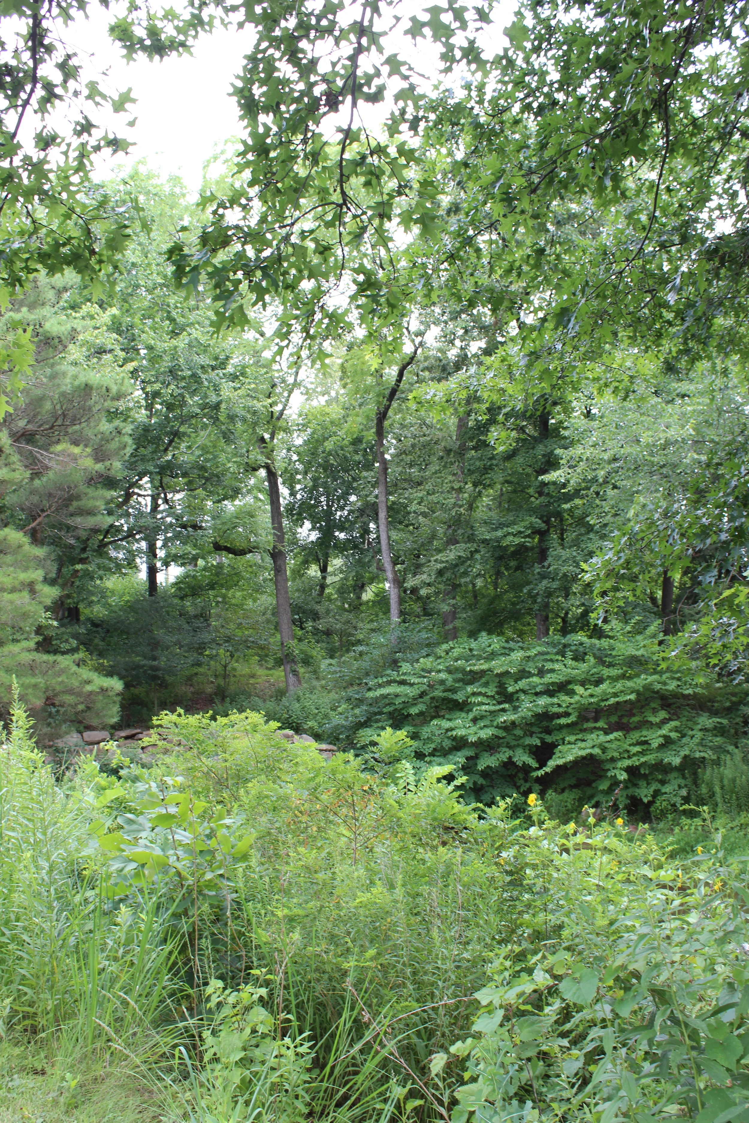 Wild and Wandering at New Jersey's Duke Farms