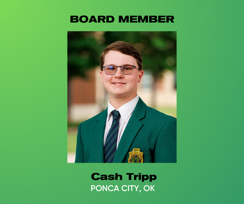 Tripp_Board.png
