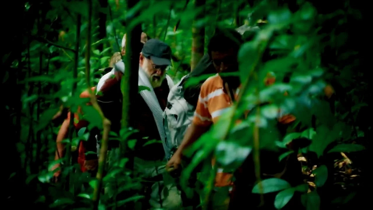 The Jungle_thumb_cc.jpg