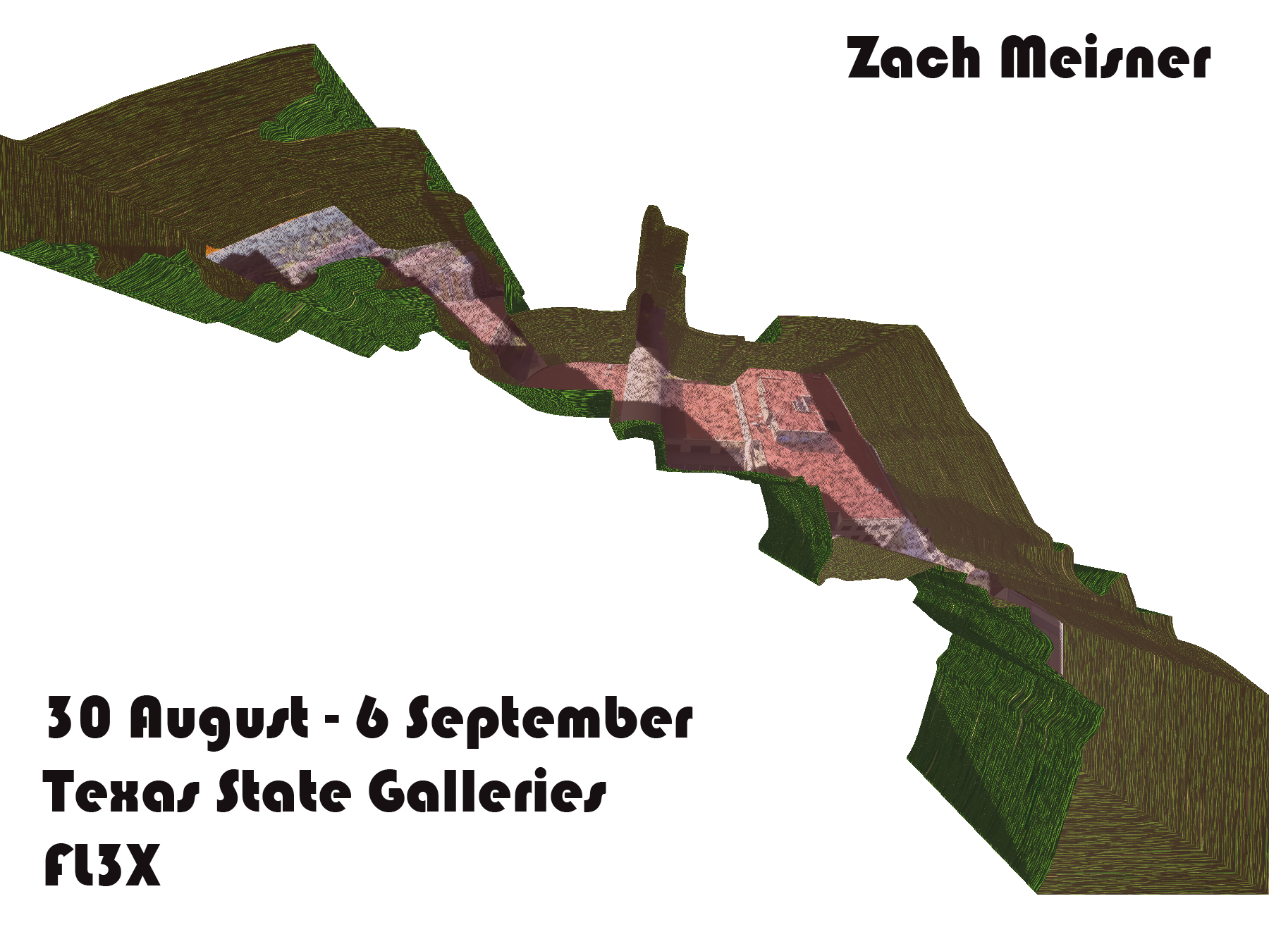 Zach Meisner, FLEX exhibition space, On view August 30–September 6 (Copy)