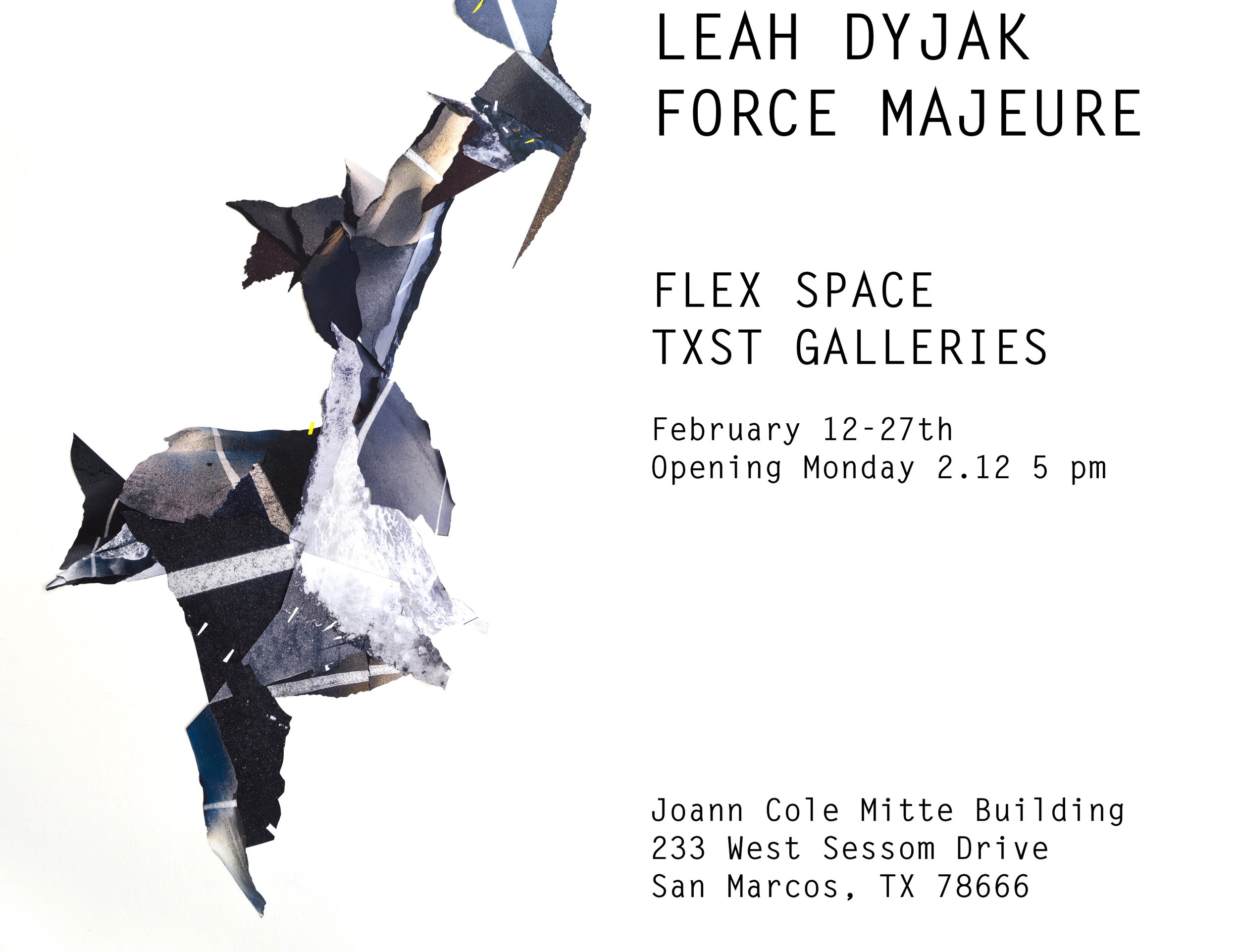 Force Majeure (Leah Dyjak), FLEX space exhibition, On view February 12–February 27, 2018 (Copy)