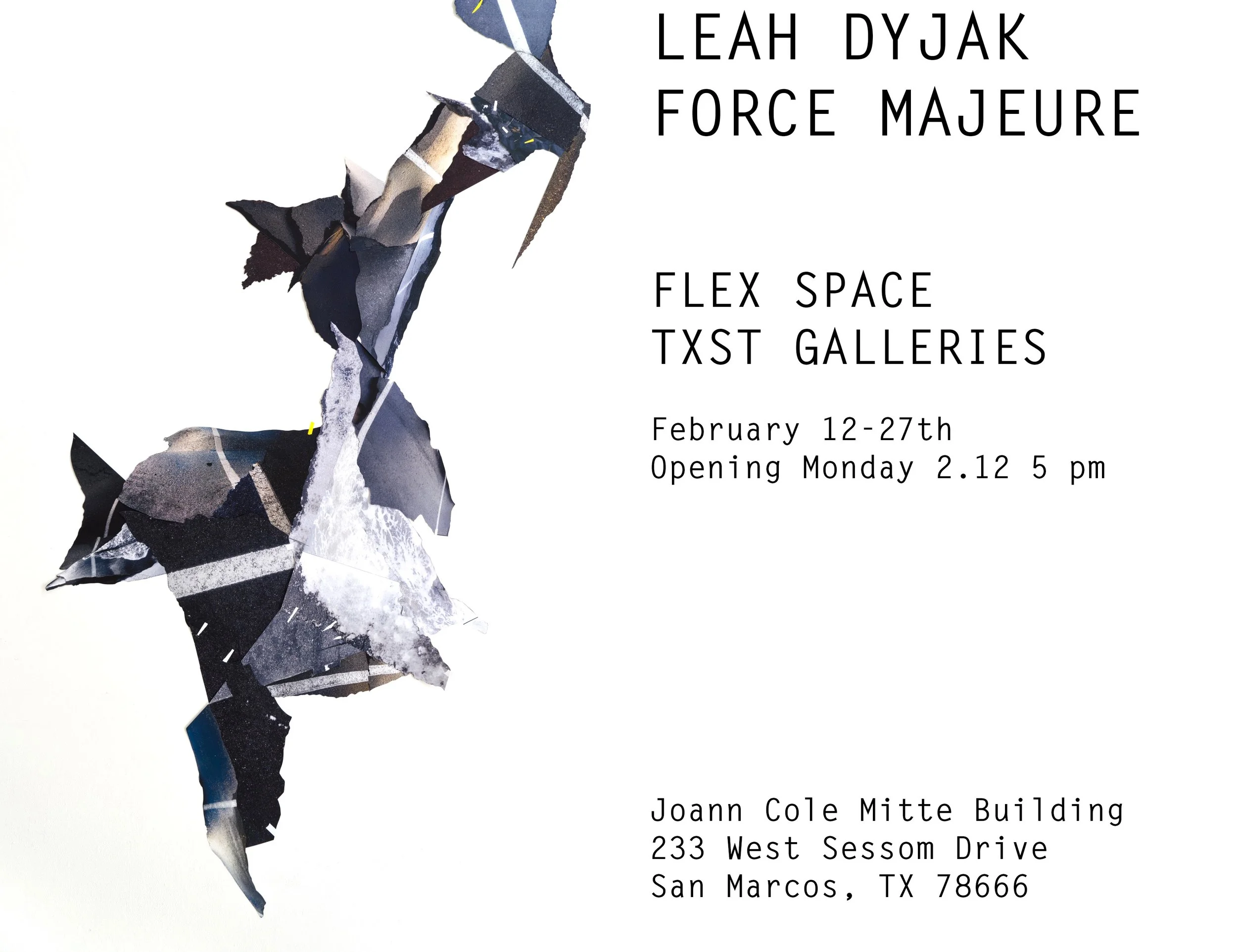 Force Majeure (Leah Dyjak), FLEX space exhibition, On view February 12–February 27, 2018