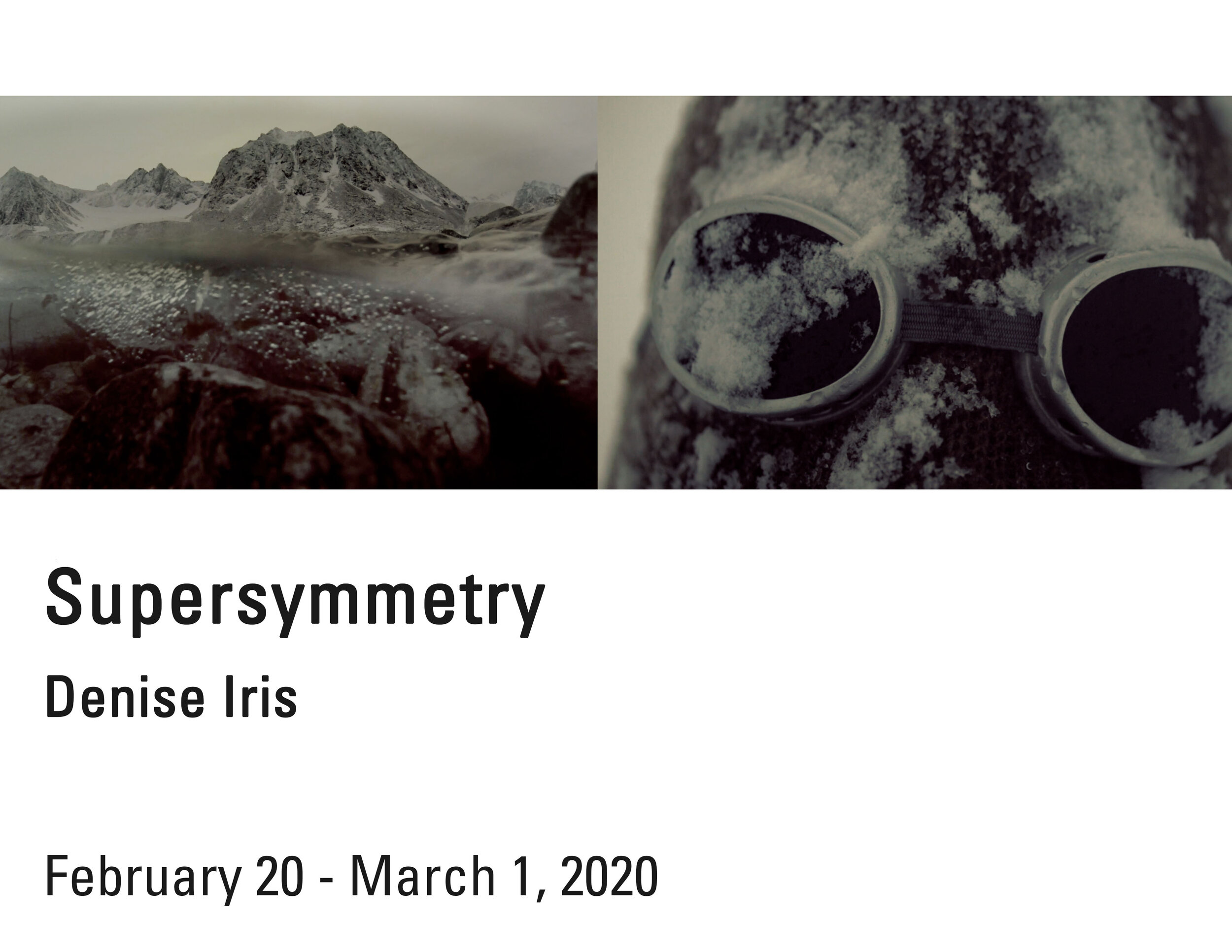 Denise Iris, Supersymmetry, FLEX space exhibition, On view February 20–March 1, 2020. (Copy)