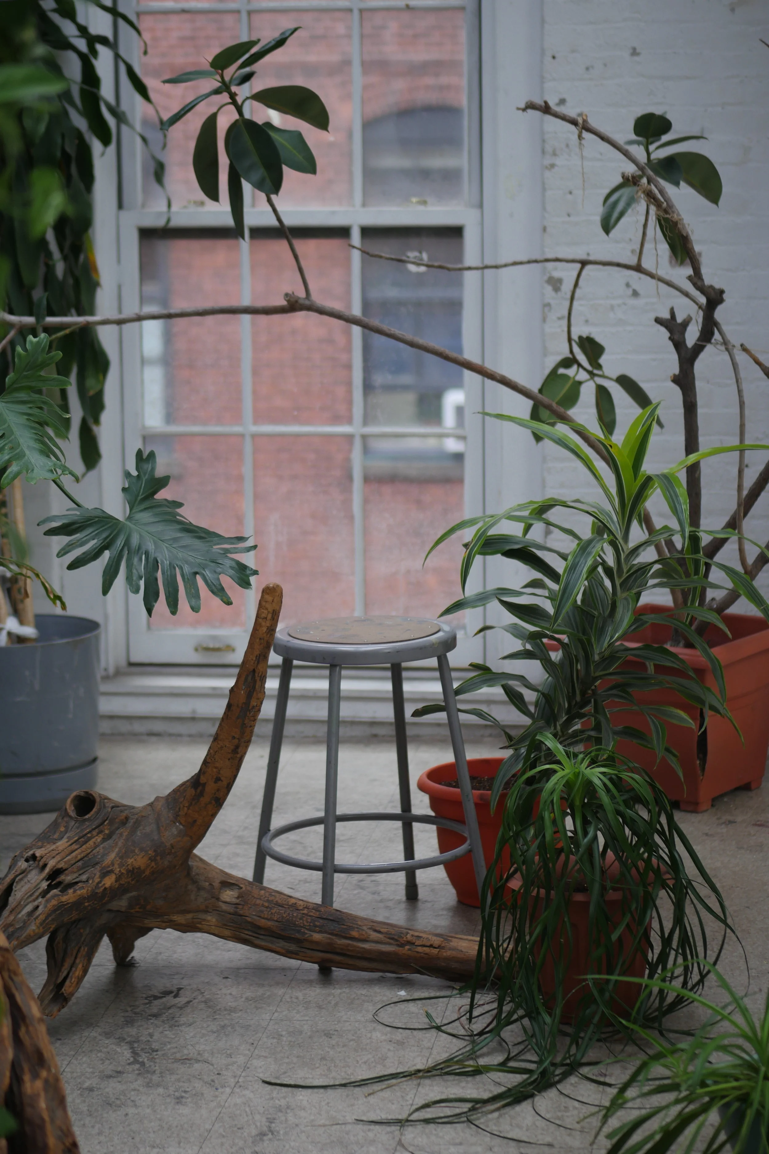  photography |  alexander mejía.   models |  makeda mcgowan, aliyah smith, and kaila harris   designer and stylist |  tolulope a.  