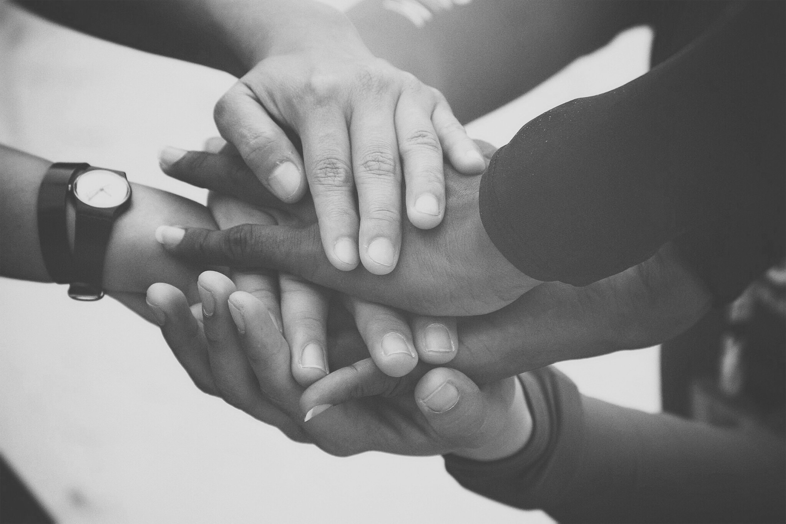 diverse-group-of-people-holding-hands-in-supportive-gesture_t20_QQbmOW.jpg