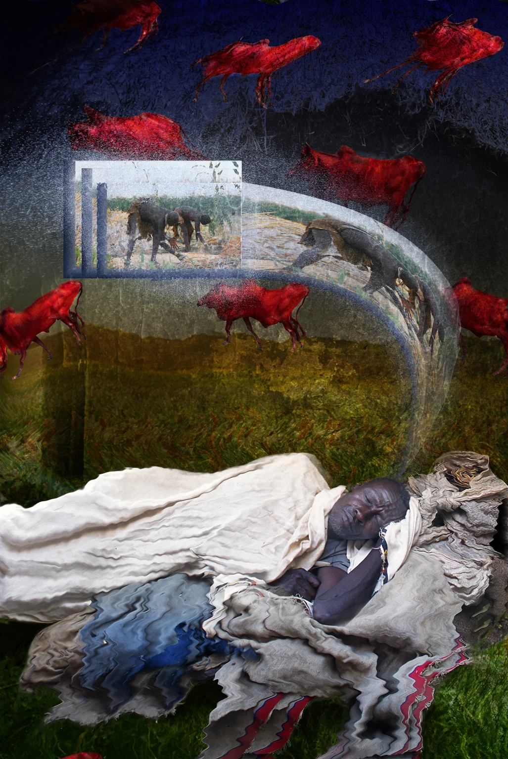 Red cattle dreamMasterB-iPad.jpg
