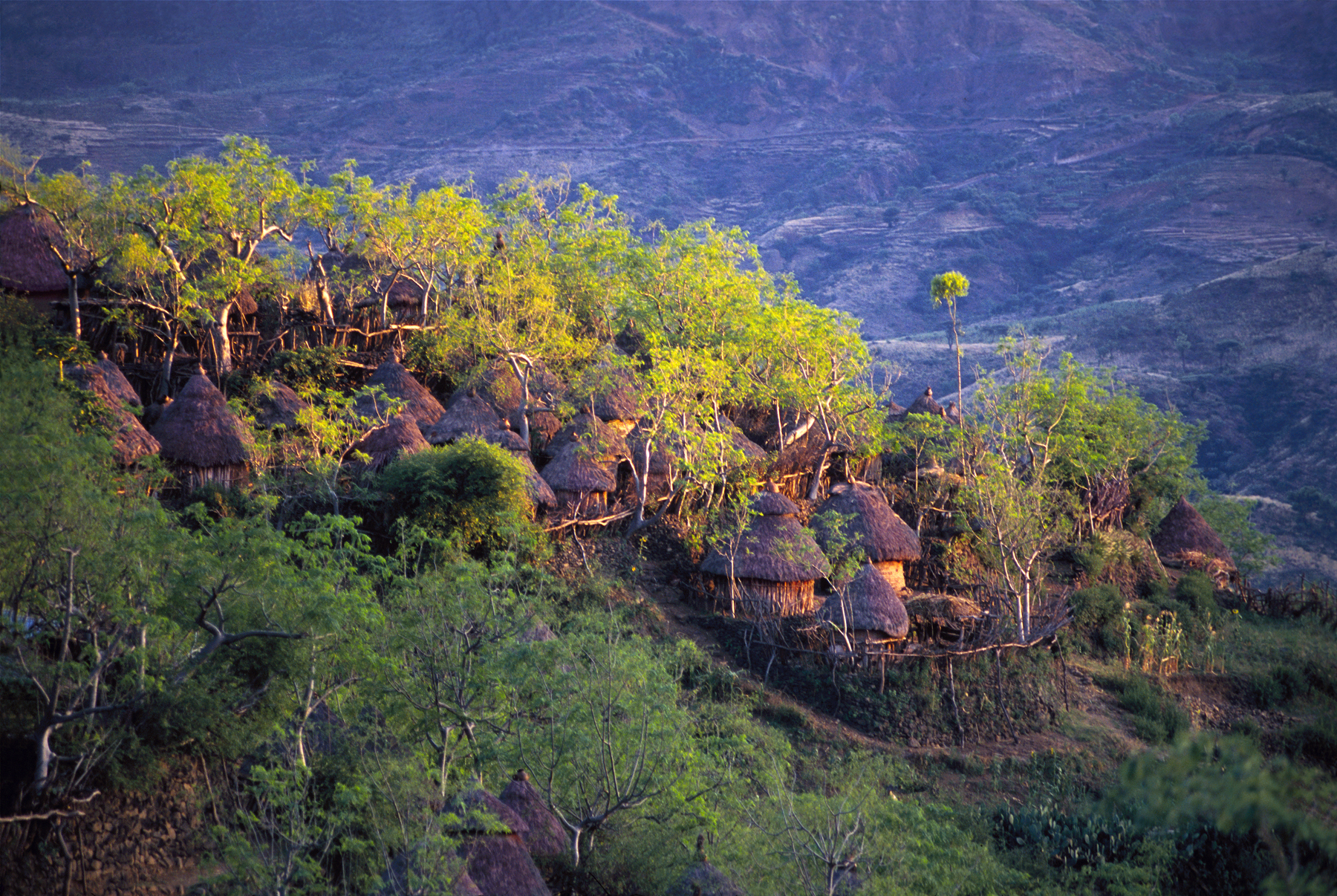 Konso tribe Busso Village