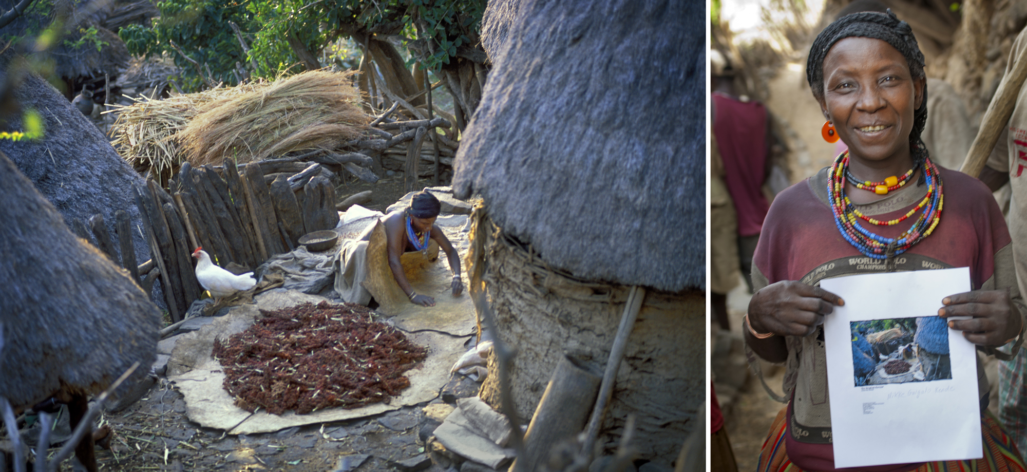 Woman harvestor 7 years later