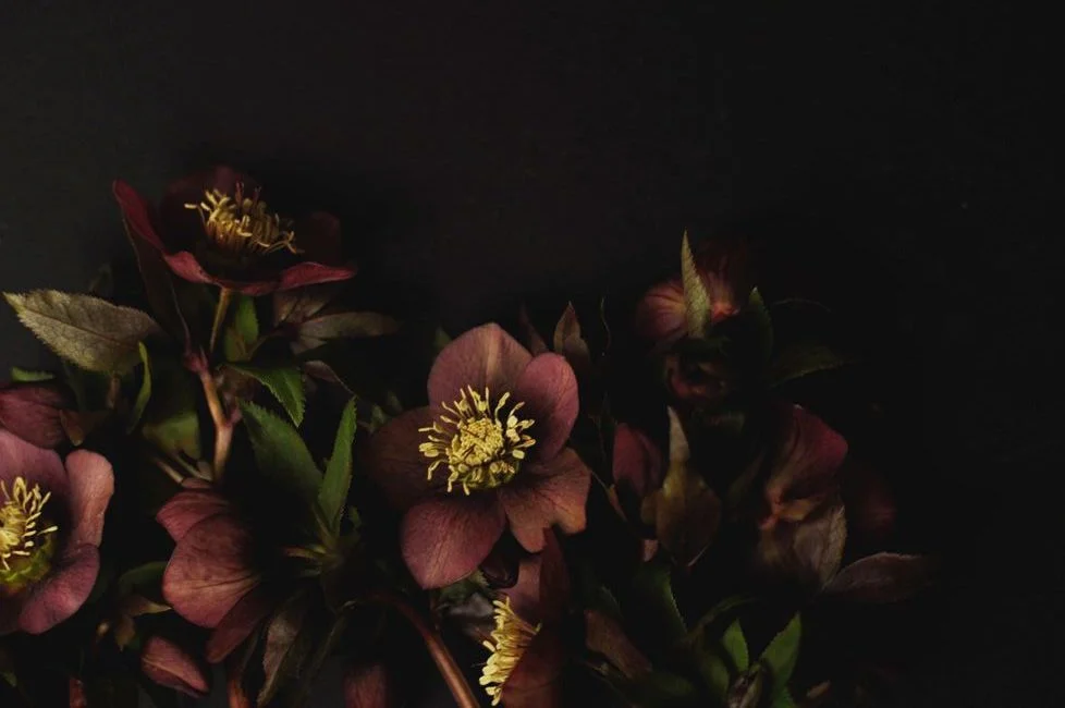 dark flowers.jpg
