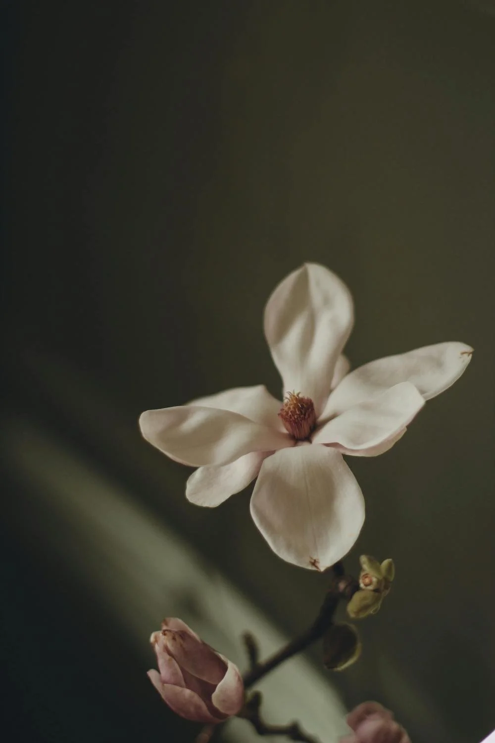 She Teaches You How to Hunger