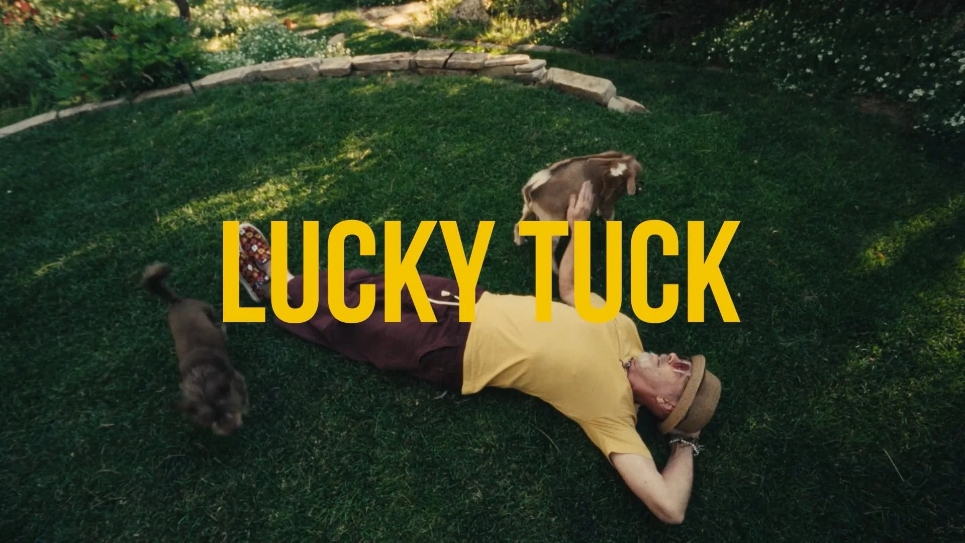 Lucky Tuck