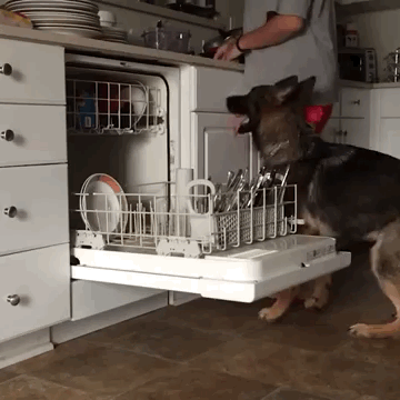 giphy (12).gif