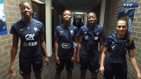 giphy (26).gif