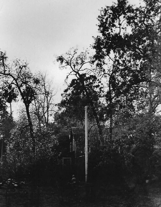 The is a view of the rear of the main house, looking west. Filled with a park-like assortment of trees, including fan palms. valley oaks, and fruit trees, the property was a song-bird oasis surrounded by vineyards.