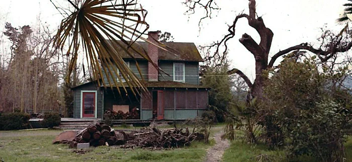 This photo looks to be from around 1977; the bamboo grove to the left of the house has lost its leaves and gone to seed as part of its 120-year life-cycle . The 700-year-old oak in the front driveway also suffered visible damage. Two years later, the house would catch fire and be condemned.