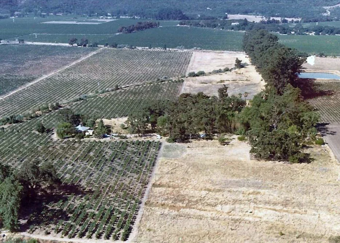 Here's a helicopter view of the Diamond Sufi Ranch. We are looking west; the long row of trees in a straight line run alongside the driveway all the way to Highway 29; the house is shrouded in lush foliage. The bamboo still has a green canopy, so this is before 1975. A forested island oasis, the ranch attracted flocks of songbirds, circling hawks, skunks, snakes and lizards. And very groovy people.
