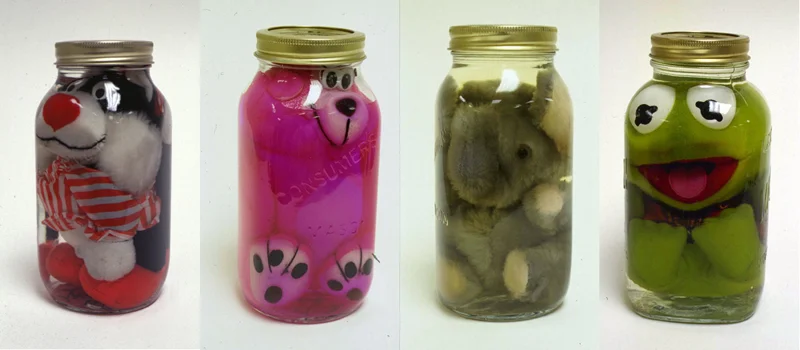 Pickled stuffed animals by Canadian artist Iain Baxter.
