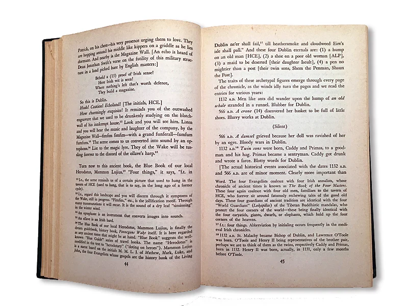 Pages 44 and 45 of A Skeleton Key to Finnegans Wake , showing footnote number 16