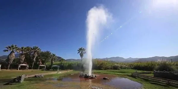 Old Faithful geyser in Calistoga, California, in the Napa Valley.