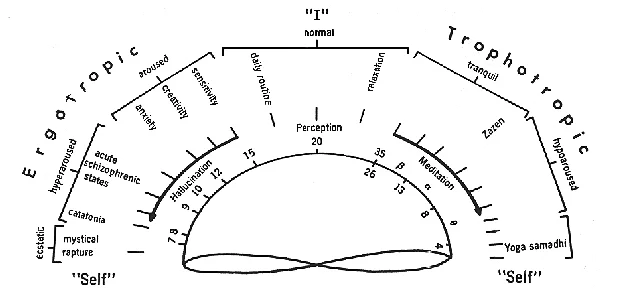 Varieties of conscious states mapped on a perceptionhallucination continuum of increasing ergotropic arousal (left) and a perception-mediation continuum of increasing trophotropic arousal (right). The loop connecting ecstasy and samadhi represents the rebound from ecstasy to samadhi, which is observed in response to intense ergotropic excitation.