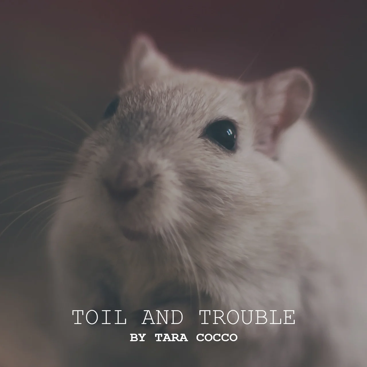 toil and trouble.jpg