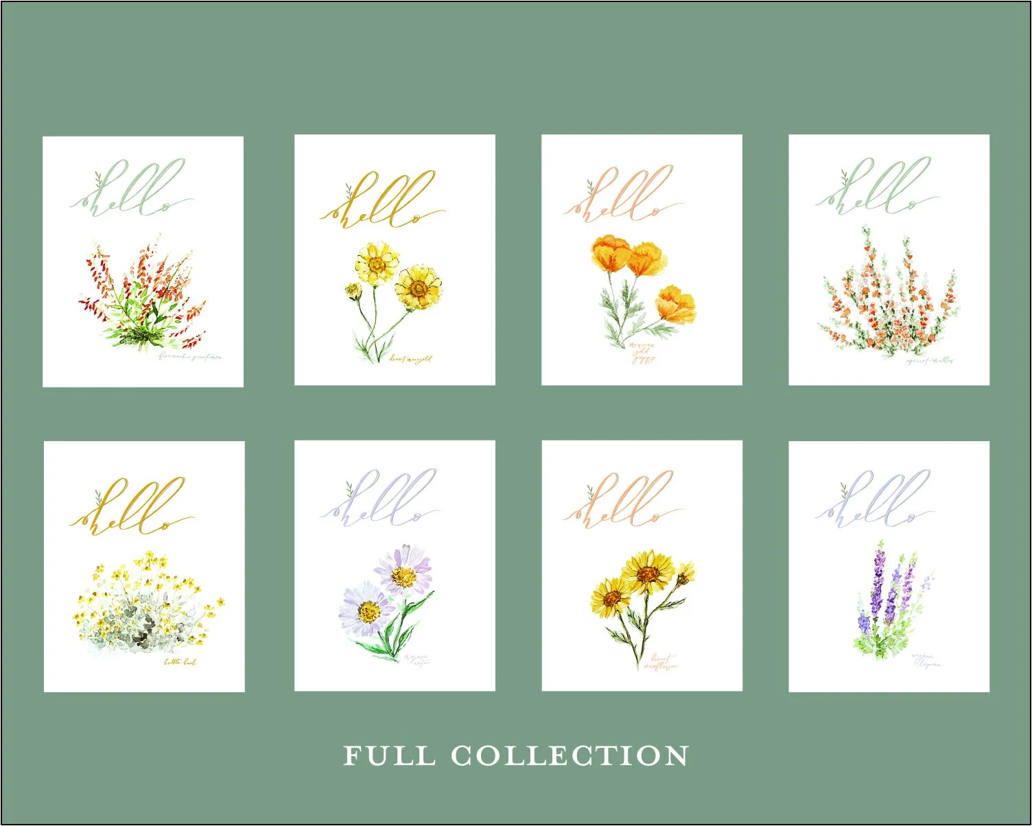 Hello, Wildflower - Assorted Card Set