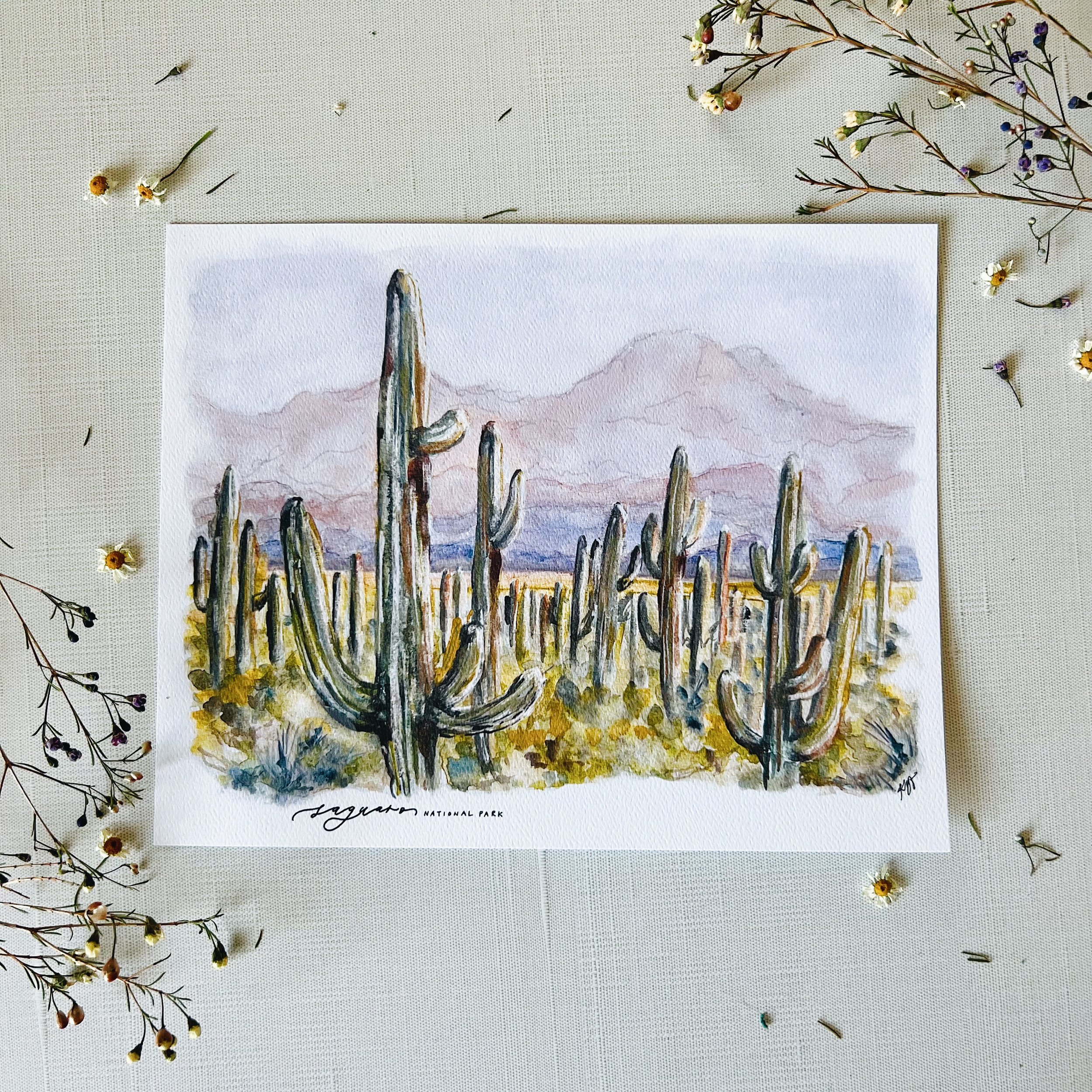 Saguaro National Park