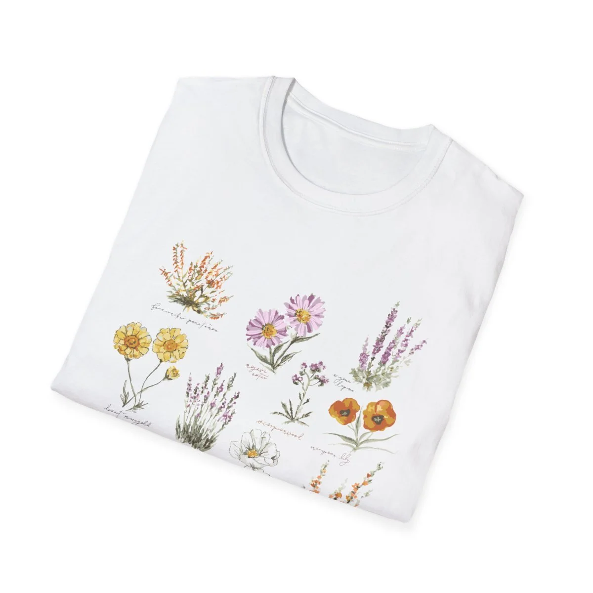 76ad2fe88559b0bafb959ddce108ab86