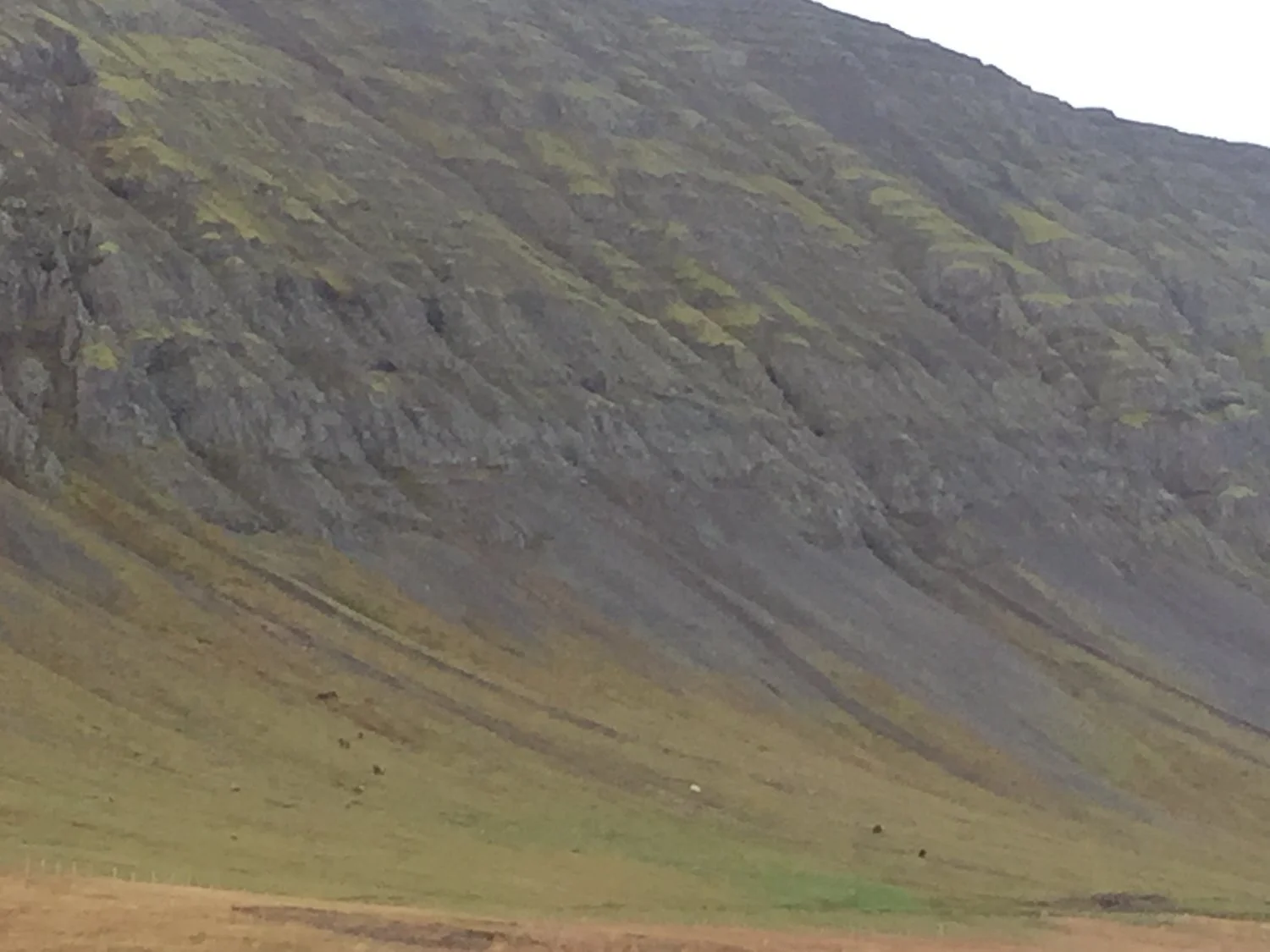 Those little dots at the mountain base are Icelandic horses.