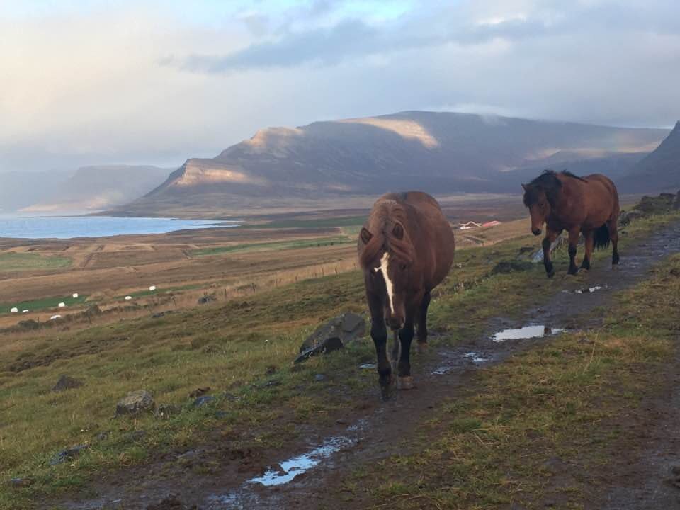 Well. Hello there, Lady Alpha.