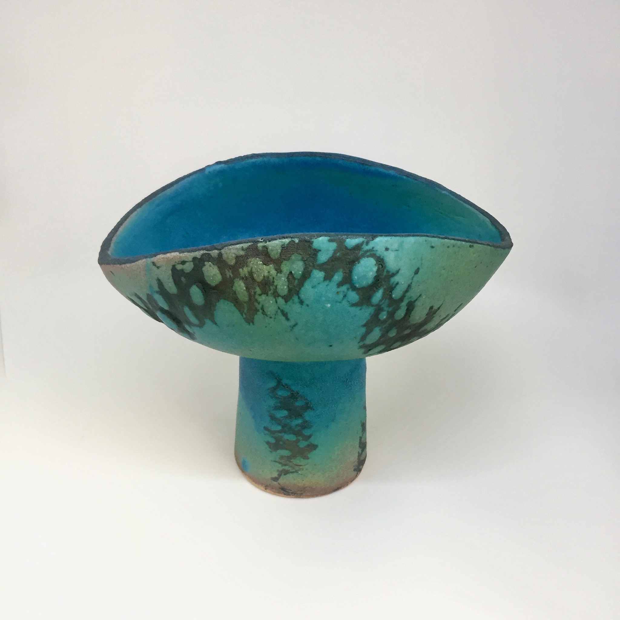 Turquoise Cholla.jpg