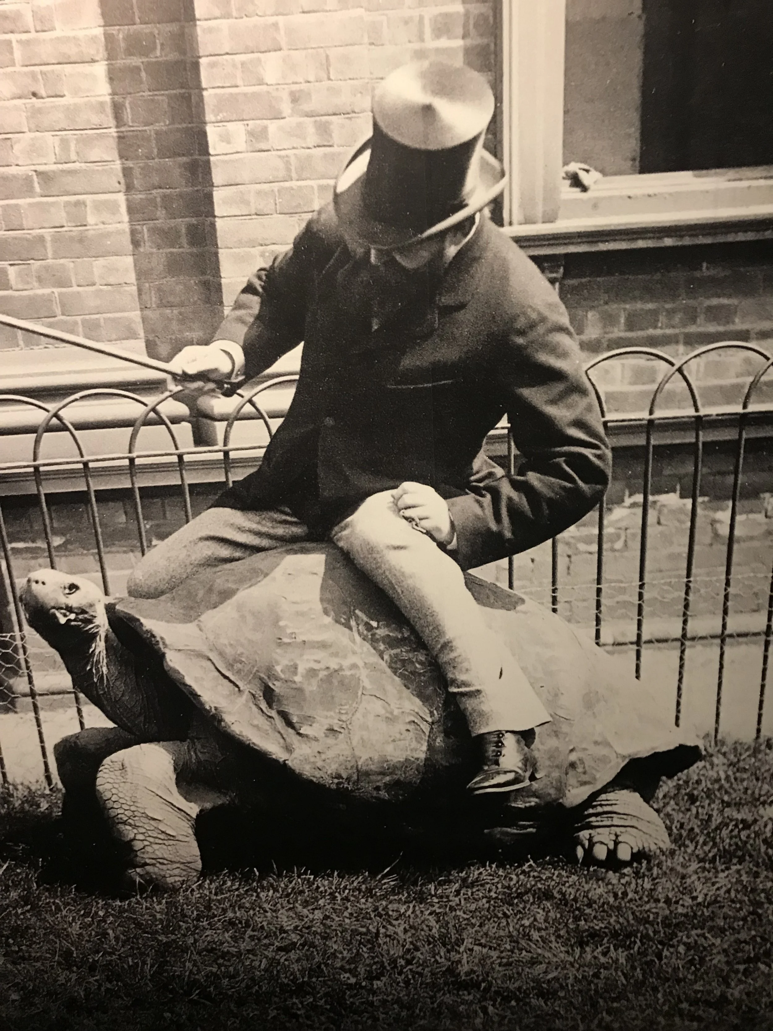 Walter Rothschild riding a turtle. Although I’m sure he made important contributions to zoology, it’s hard not to hate him for torturing this turtle.