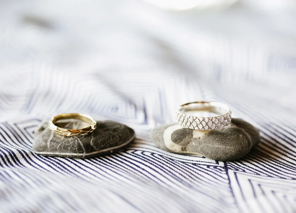Photography by Levi stolove