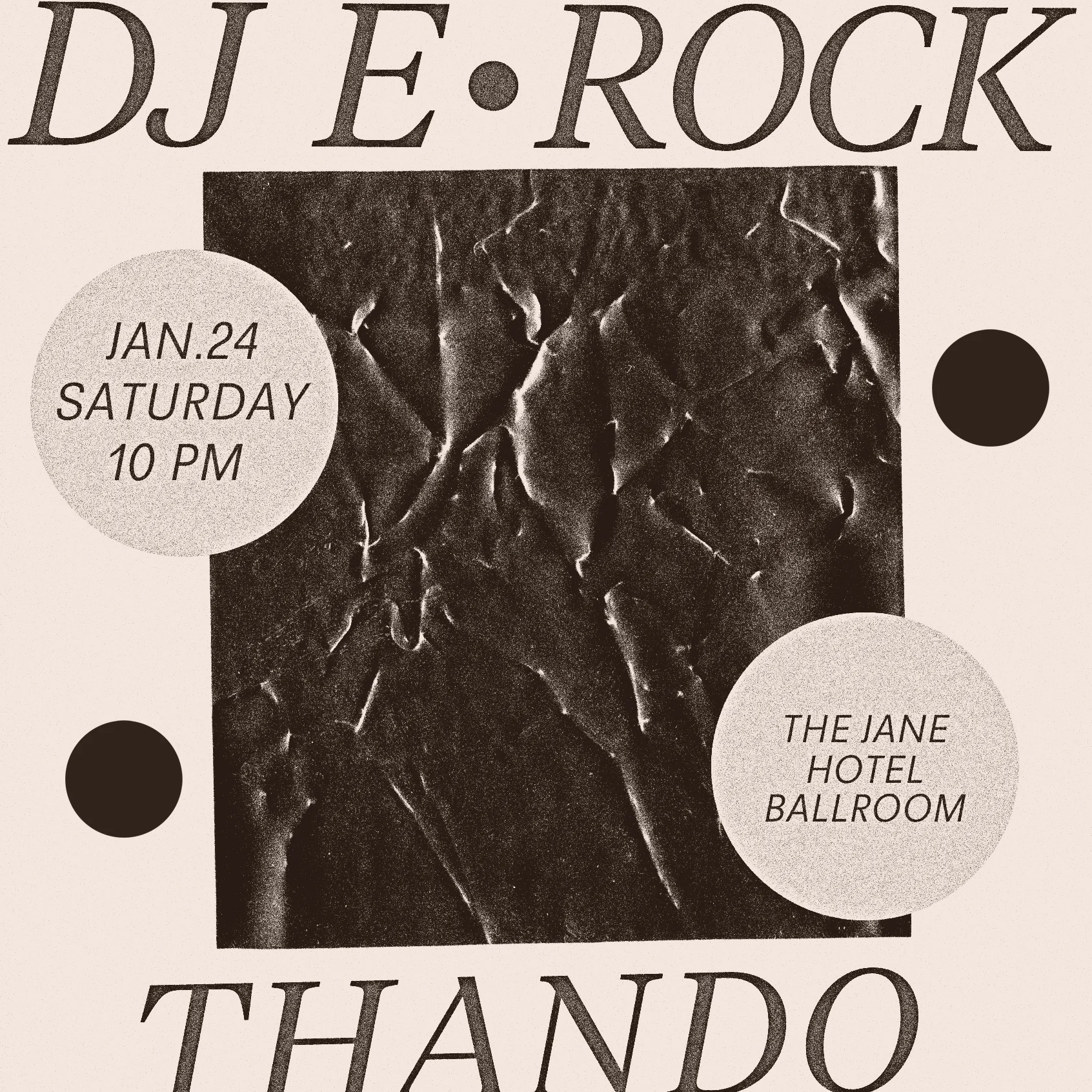 2015-1-24 Jane Flyer.JPG