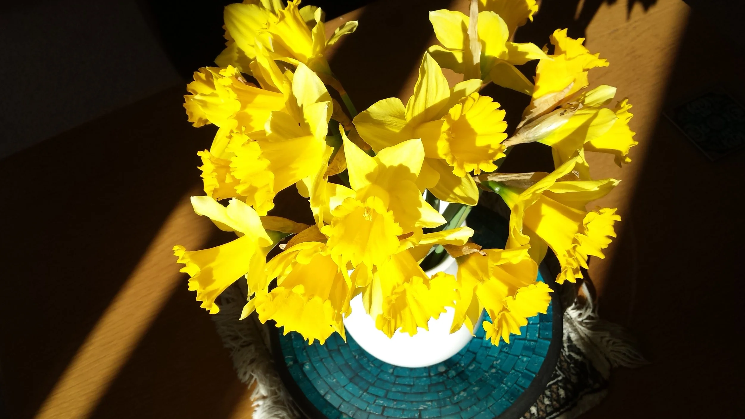 20180308_093052.jpg